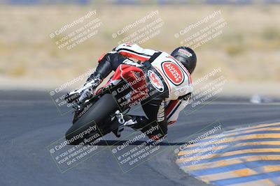 media/May-13-2023-SoCal Trackdays (Sat) [[8a473a8fd1]]/Turn 11 Backside (945am)/